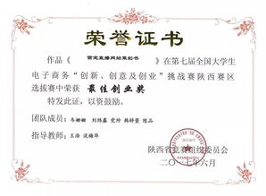 電子商務(wù)專(zhuān)業(yè) 聚焦平臺(tái)開(kāi)發(fā)與運(yùn)營(yíng)，賦能數(shù)字經(jīng)濟(jì)新時(shí)代